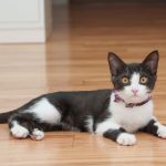 お気軽にお問い合わせください